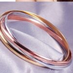 316L Stainless Steel Brand Three Colors Bangle M01354